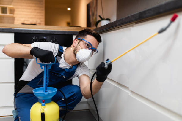 Best Affordable Pest Control Services  in Brownfield, TX