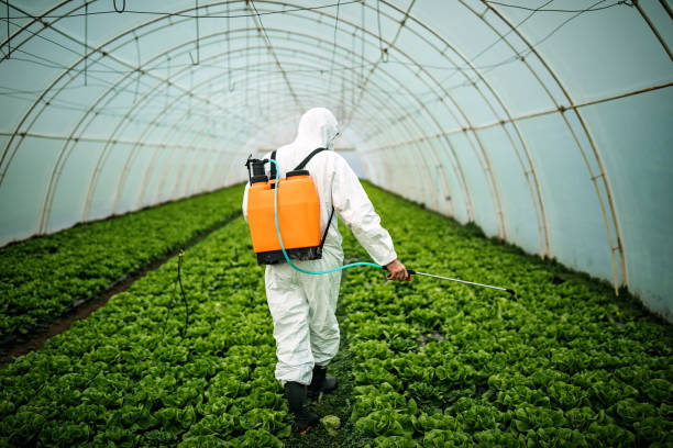 Best Residential Pest Control  in Brownfield, TX