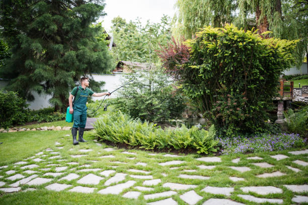 Pest Prevention Services in Brownfield, TX