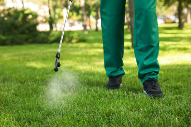 Best Local Pest Control Services  in Brownfield, TX