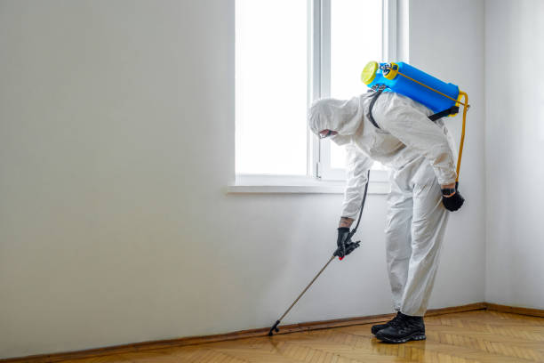 Best Pest Removal Services  in Brownfield, TX