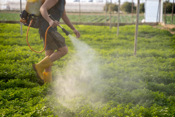 Best Affordable Pest Control Services  in Brownfield, TX