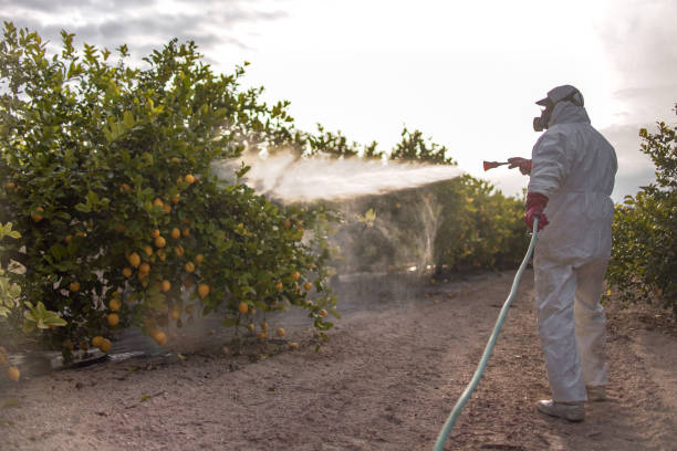  Brownfield, TX Pest Control Pros