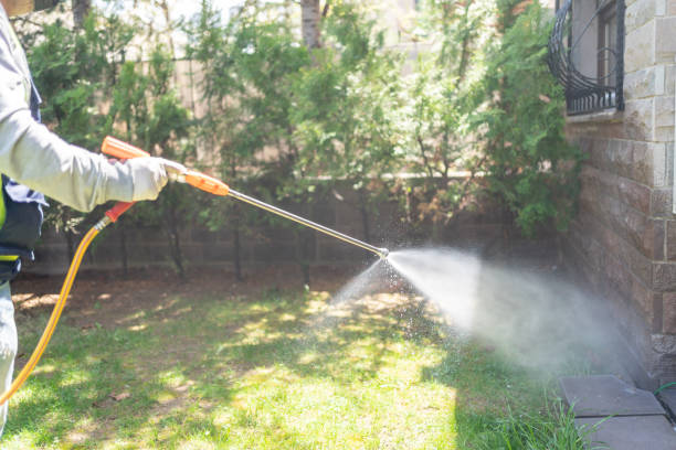 Best Mosquito Control Services  in Brownfield, TX