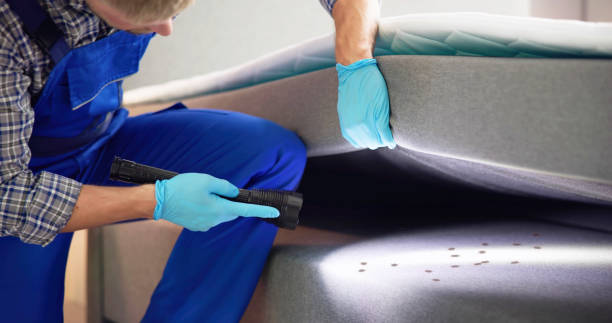 Best Affordable Pest Control Services  in Brownfield, TX